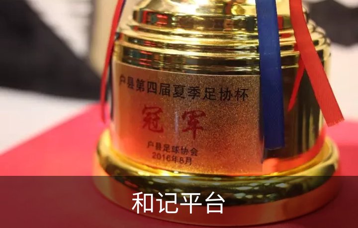 和记平台概况